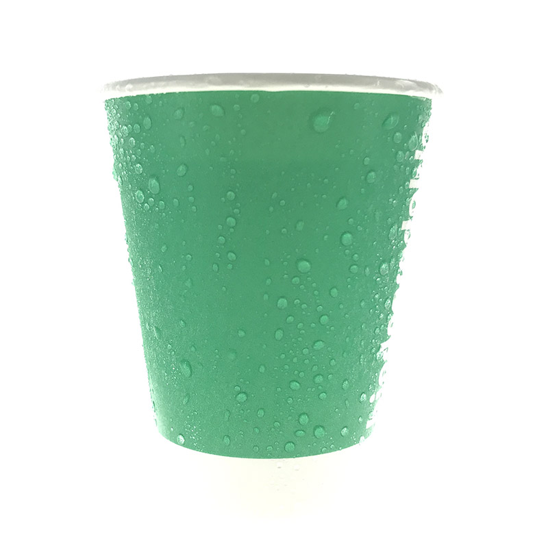 PLA double lined cold drinking bagasse paper cup